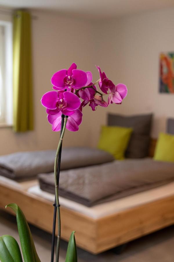 Apartment Alte Raiffeisenkasse Ротенбург об дер Таубер Екстериор снимка